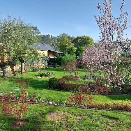 Villa Tini Radebeul Exterior foto