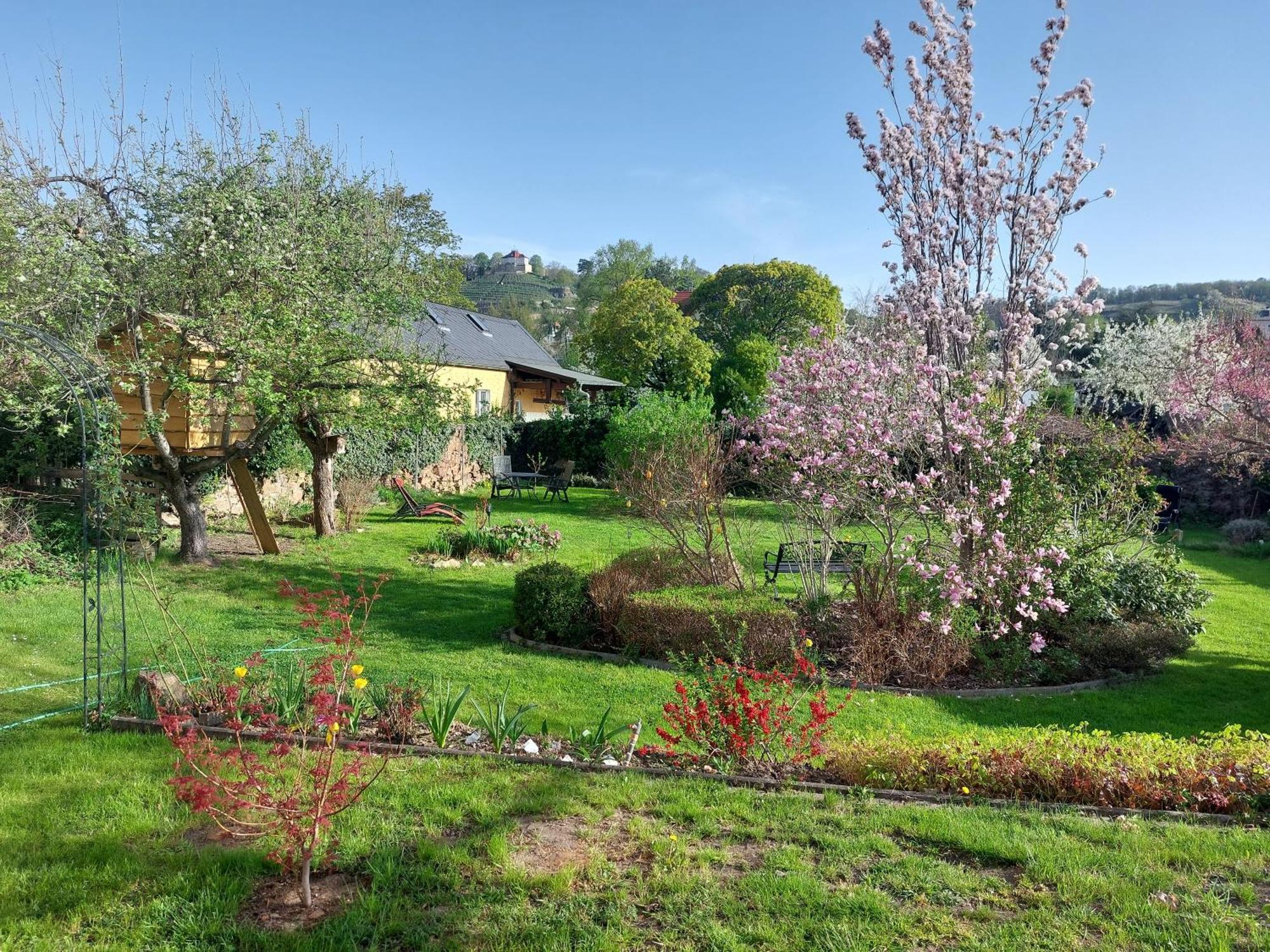 Villa Tini Radebeul Exterior foto